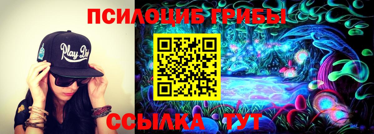 Псилоцибиновые грибы Psilocybine cubensis  Псилоцибиновые грибы Psilocybine cubensis  Гагарин  Вход с VPN 